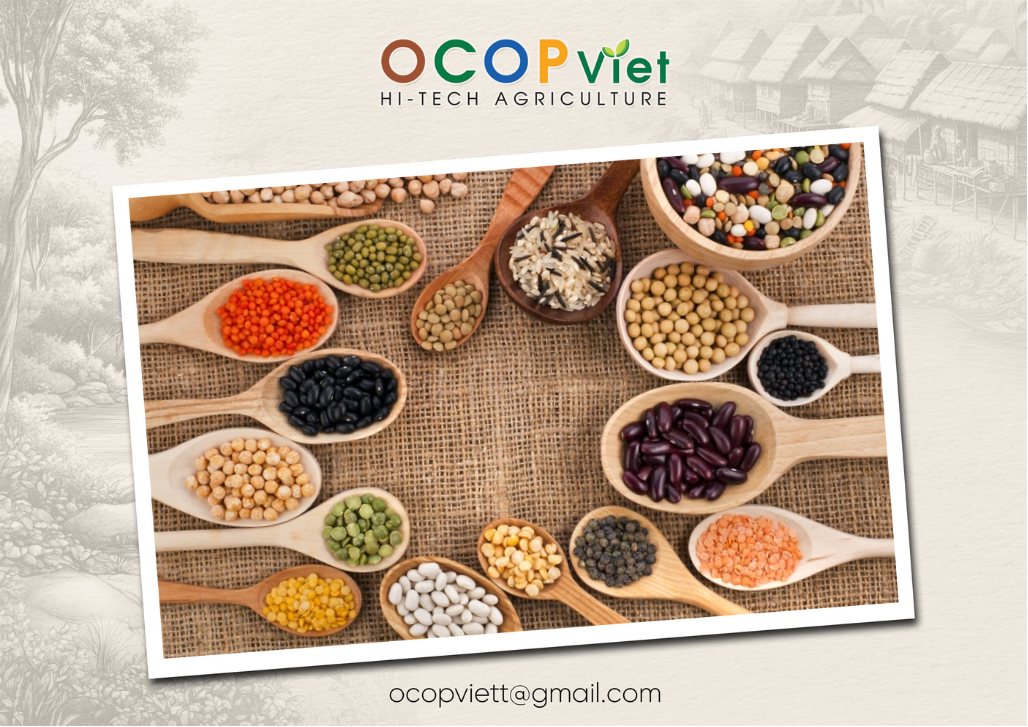 các loại hạt tốt cho sức khỏe