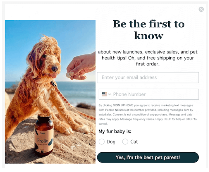A dog sitting on sand next to a bottle
Description automatically generated