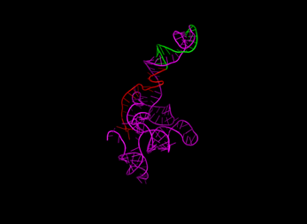 A dna spiral with red green and blue lines

Description automatically generated with medium confidence