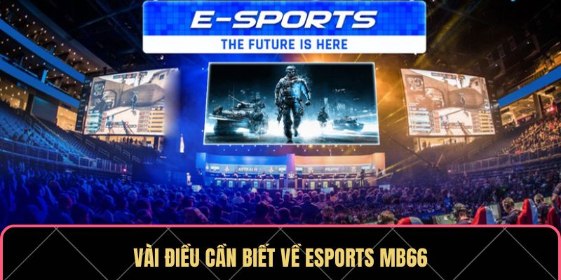 Esports MB66 Đấu Trường Giải Trí Cho Game Thủ Đỉnh Cao
