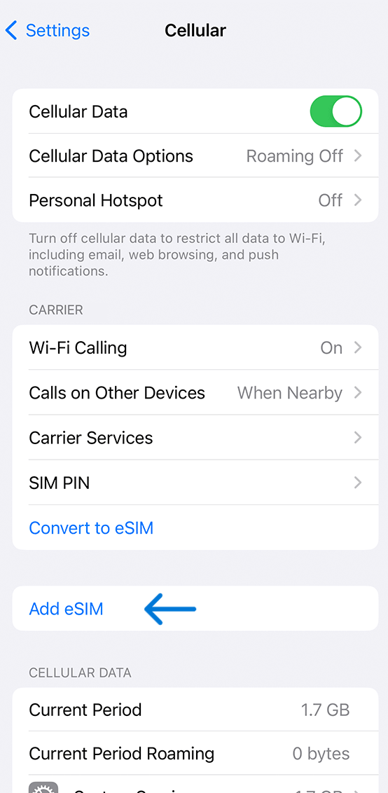 Verizon eSIM Activation on iOS Devices 
