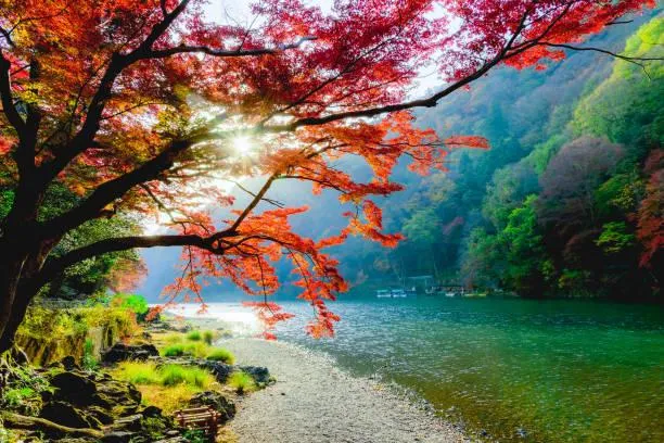 25 Nature-Inspired Photos That Spark Awe, awe-inspiring nature, nature inspired, nature, landscape, earth beauty, natural wonders