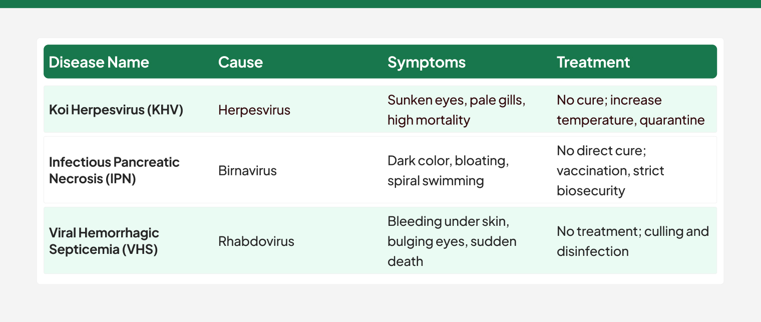 Viral Infections in fish diseases