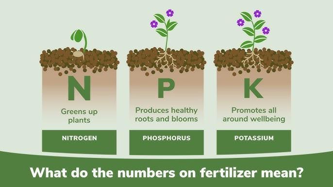 NPK Nutrient Ratio