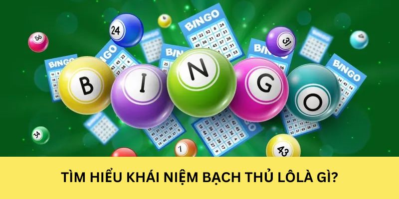 Khái niệm chung về bạch thủ lô là gì