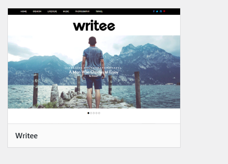 a screenshot of writee a WordPress Themes For Authors