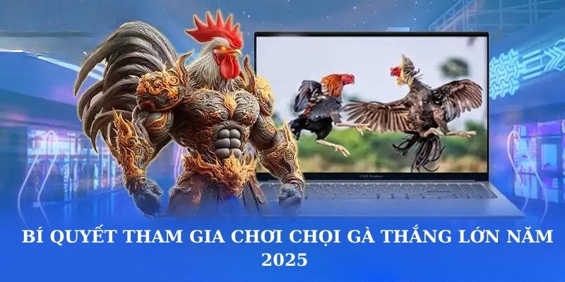Bí quyết tham gia chơi chọi gà thắng lớn năm 2025 