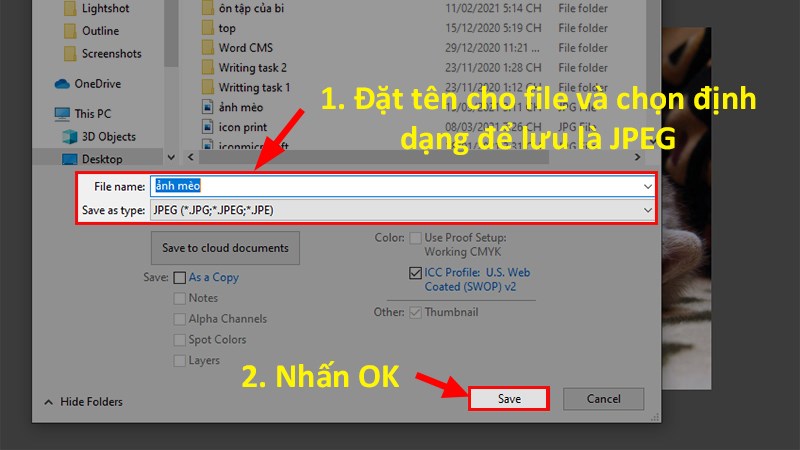 Chọn định dạng file để lưu là JPEG > Nhấn Save