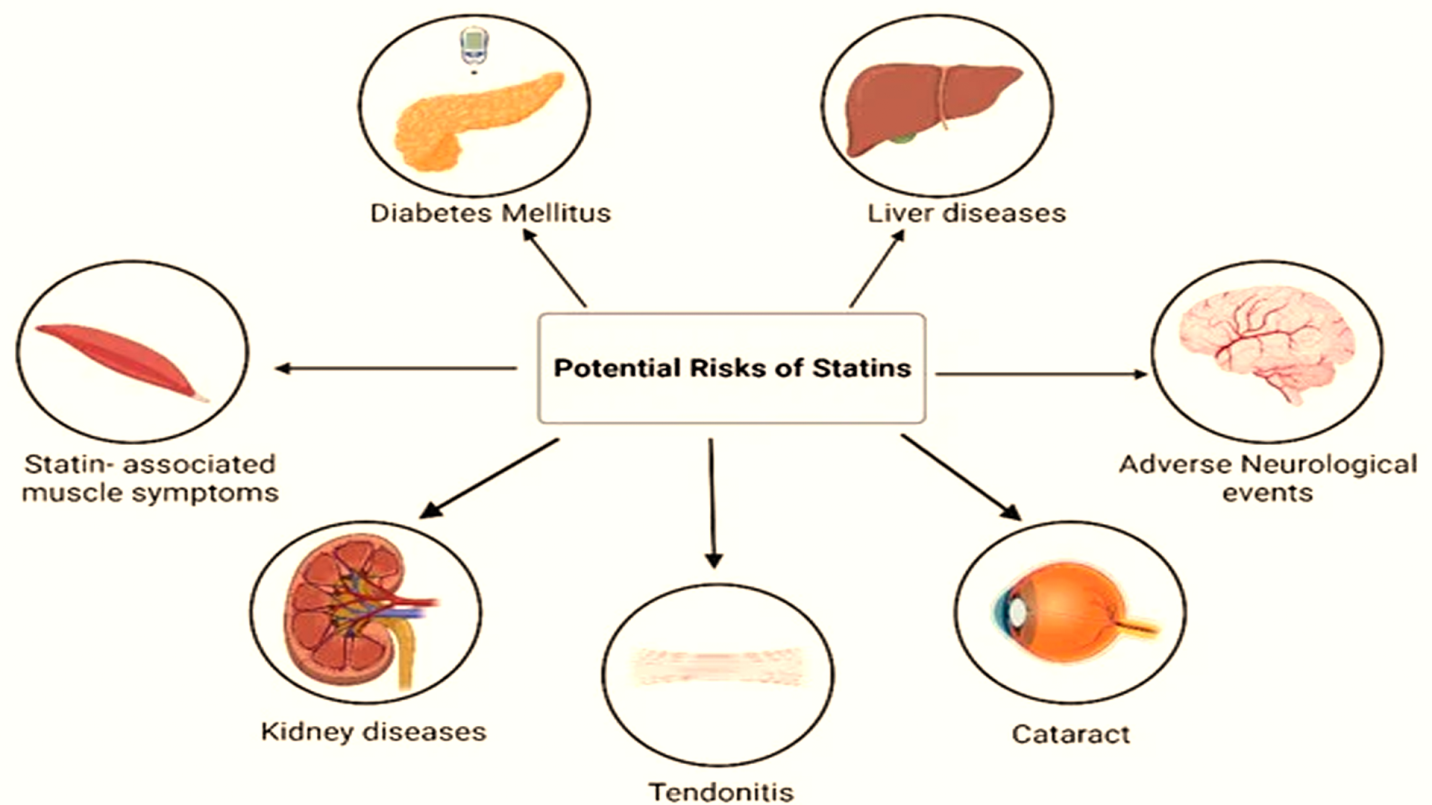 Atorvastatin vs on Rosuvastatin Difference Statin