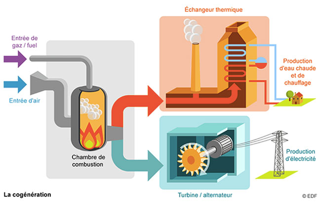 Schéma explicatif de la cogénération