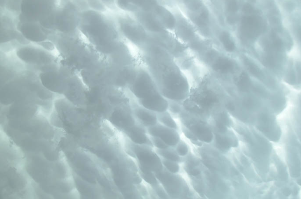 Sky almost completely covered by very puffy and lumpy clouds.