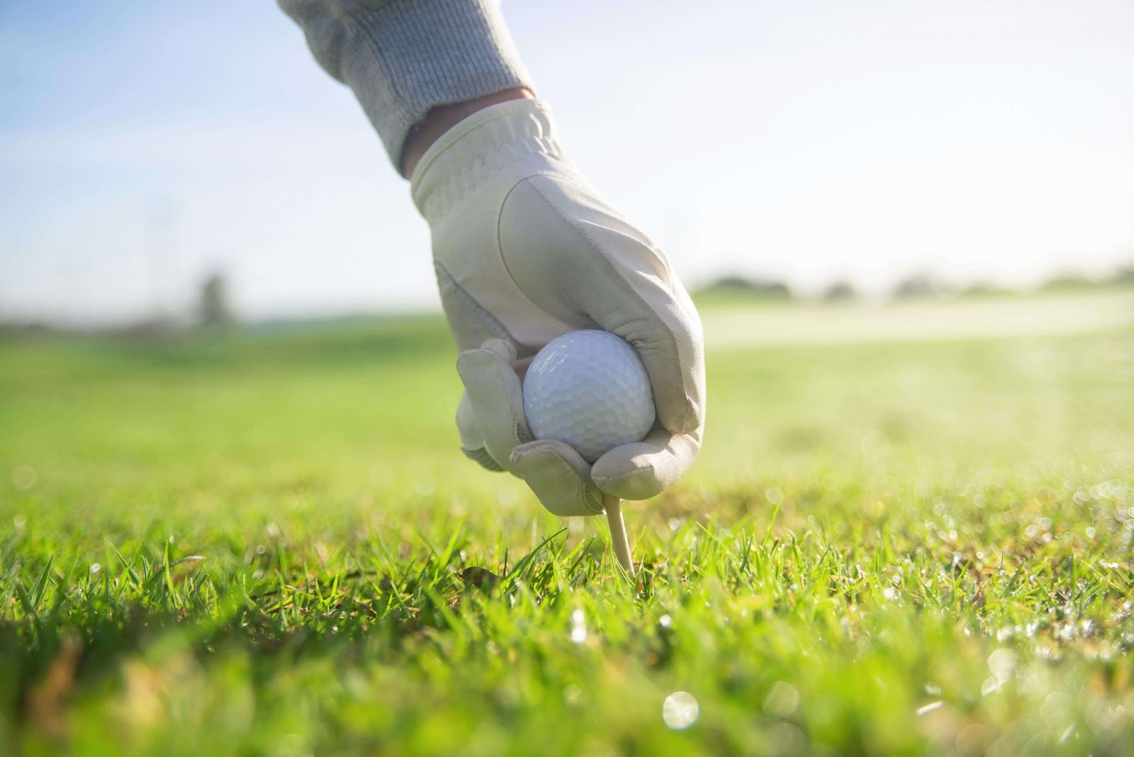 tee with golf ball
