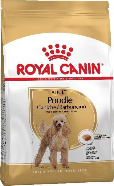D:\RC\Launches&product info\Dogs\SPT assortment\BHN 2019\BHN_POODLE_ADULT\AD_POODLE_PACKSHOT_BHN18.jpg