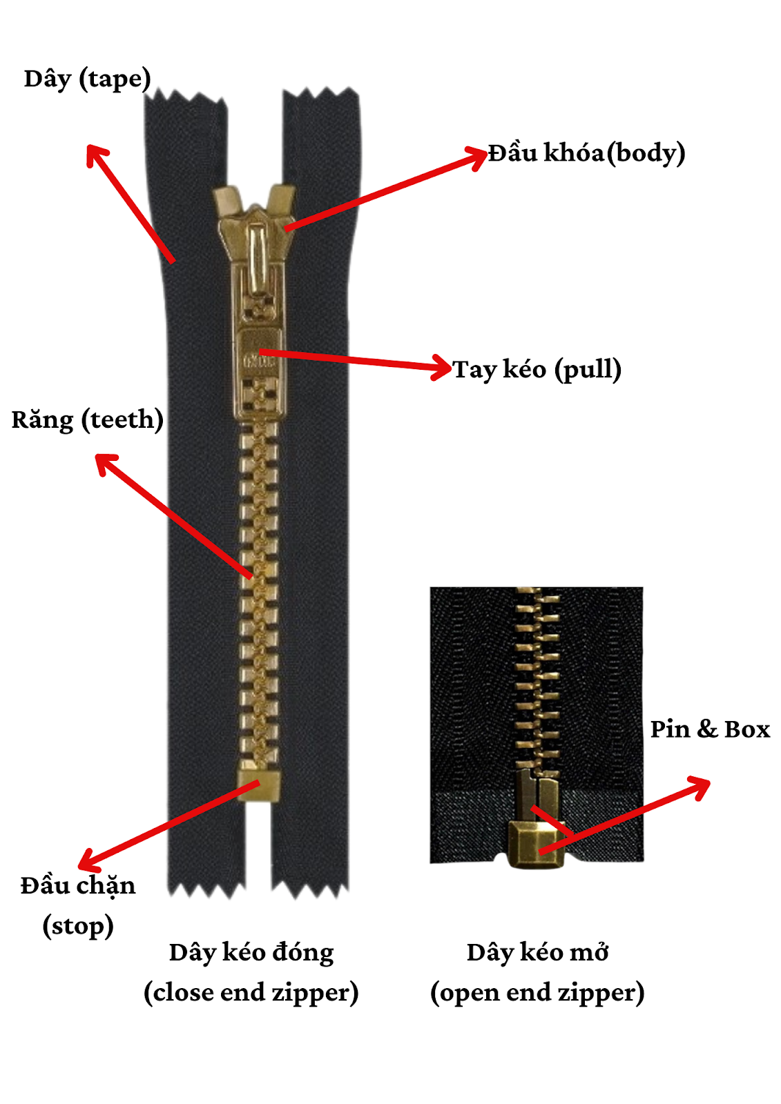 Cấu trúc của dây khóa kéo