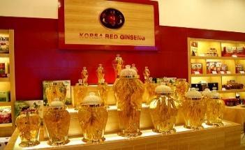 Tour du lịch Hàn Quốc mùa thu giá tốt năm 2024