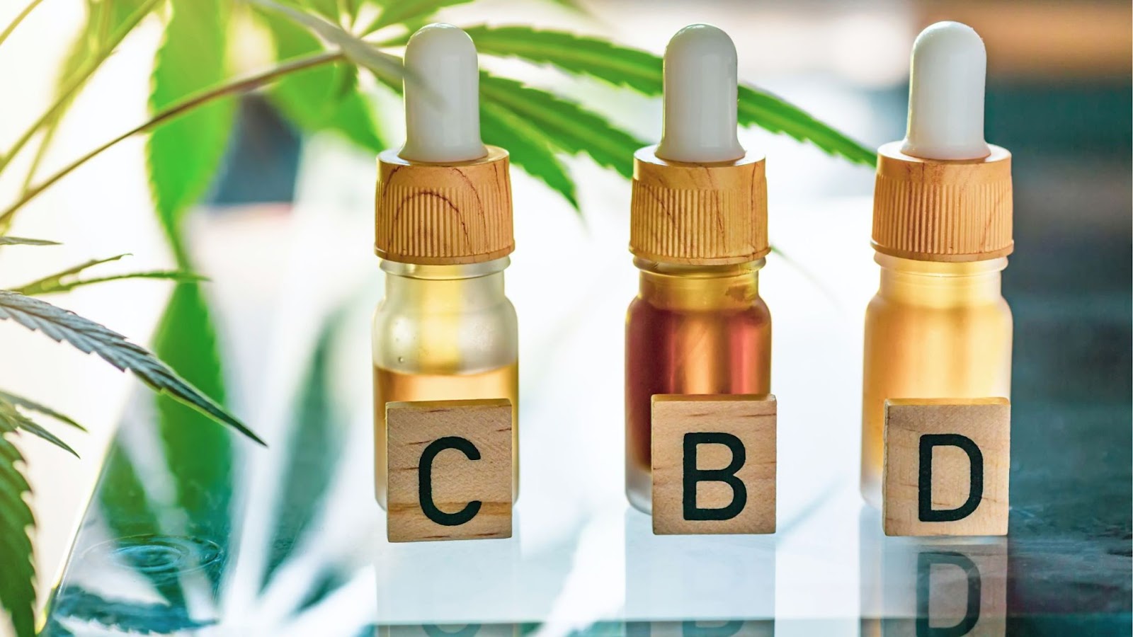 How to choose the right CBD products