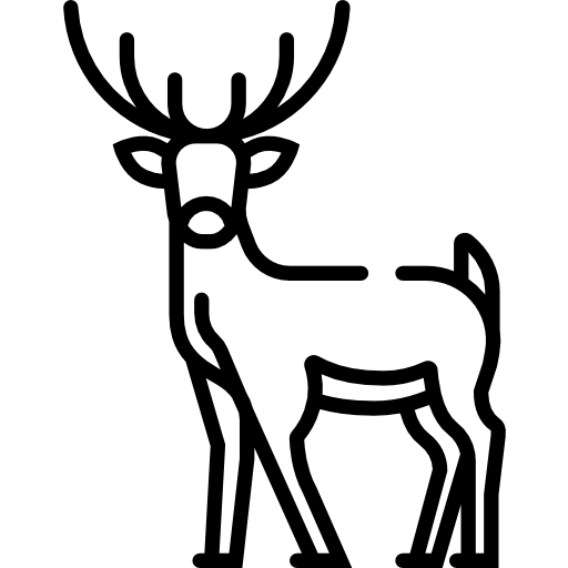 deer representing venison icon