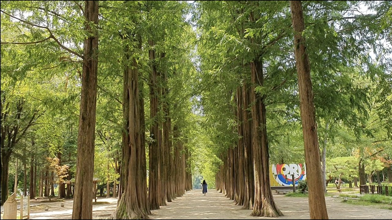 Mùa thu tại đảo Nami