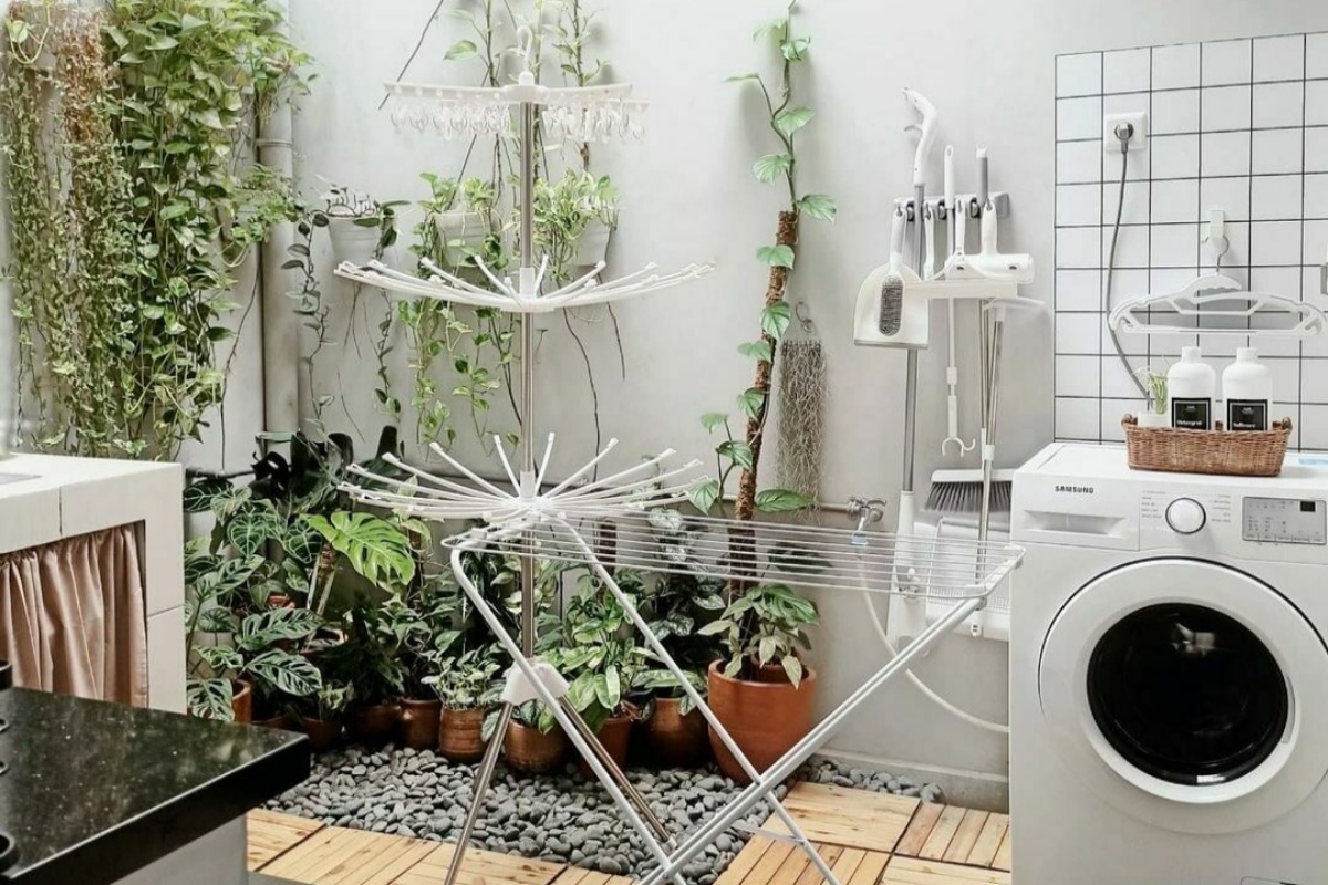 laundry di halaman belakang