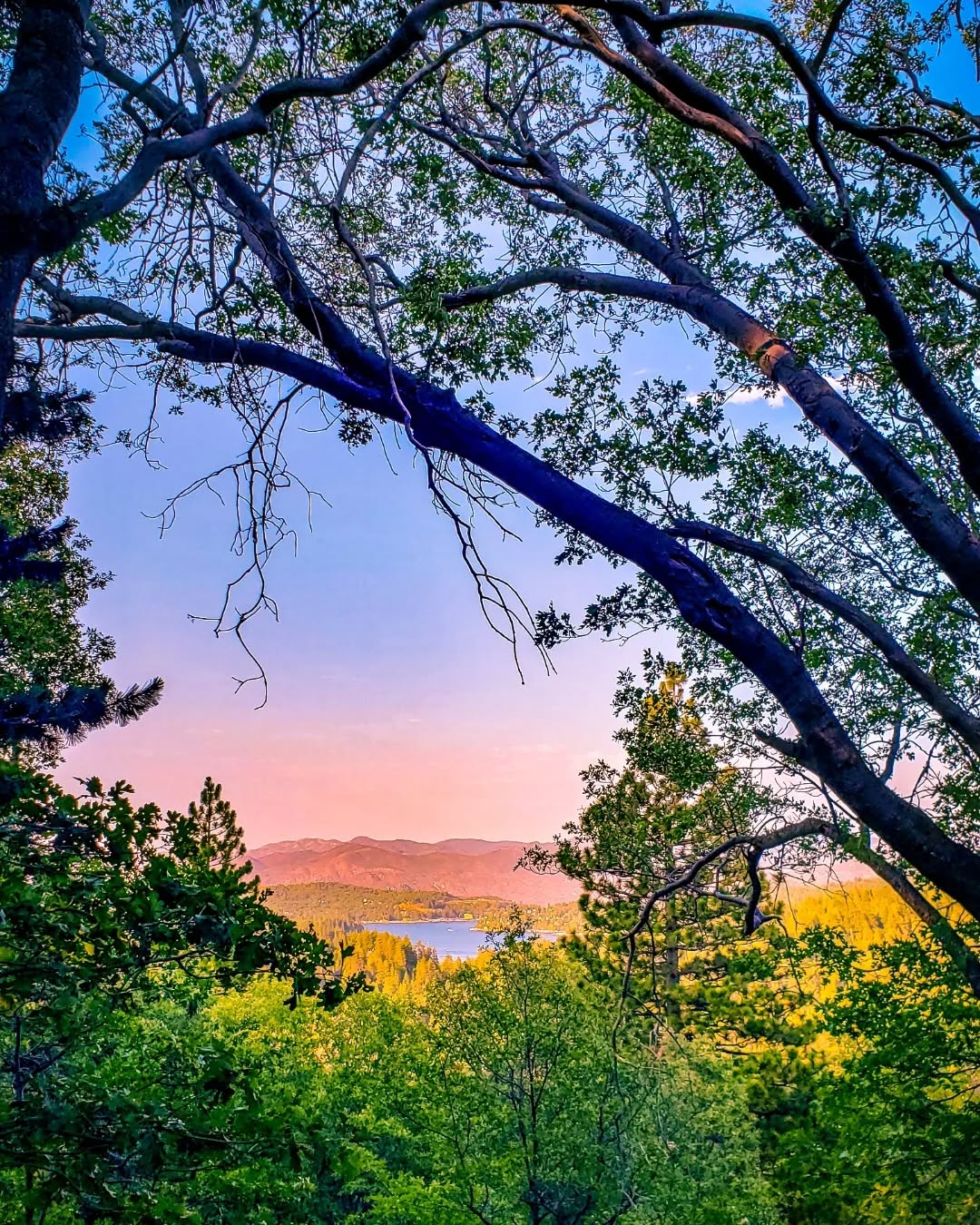 Hiking Trails