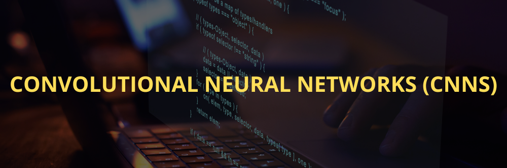 Convolutional Neural Networks (CNNs)