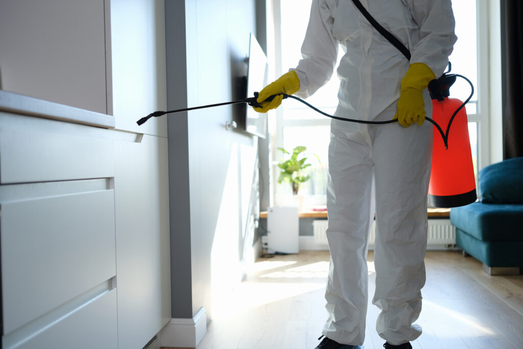 The Ultimate Guide to Home Pest Protection: Essential Services You Need