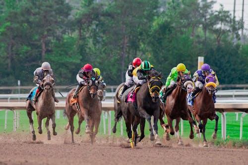 Free Fast-paced horse racing competition with jockeys in action on dirt track outdoors. Stock Photo