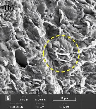 A close-up of a grey surface

Description automatically generated