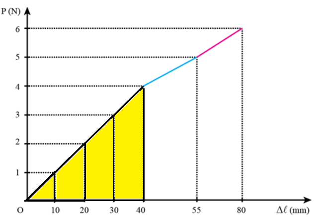 CHỦ ĐỀ 5 BÀI 2 SỰ BIẾN DẠNG