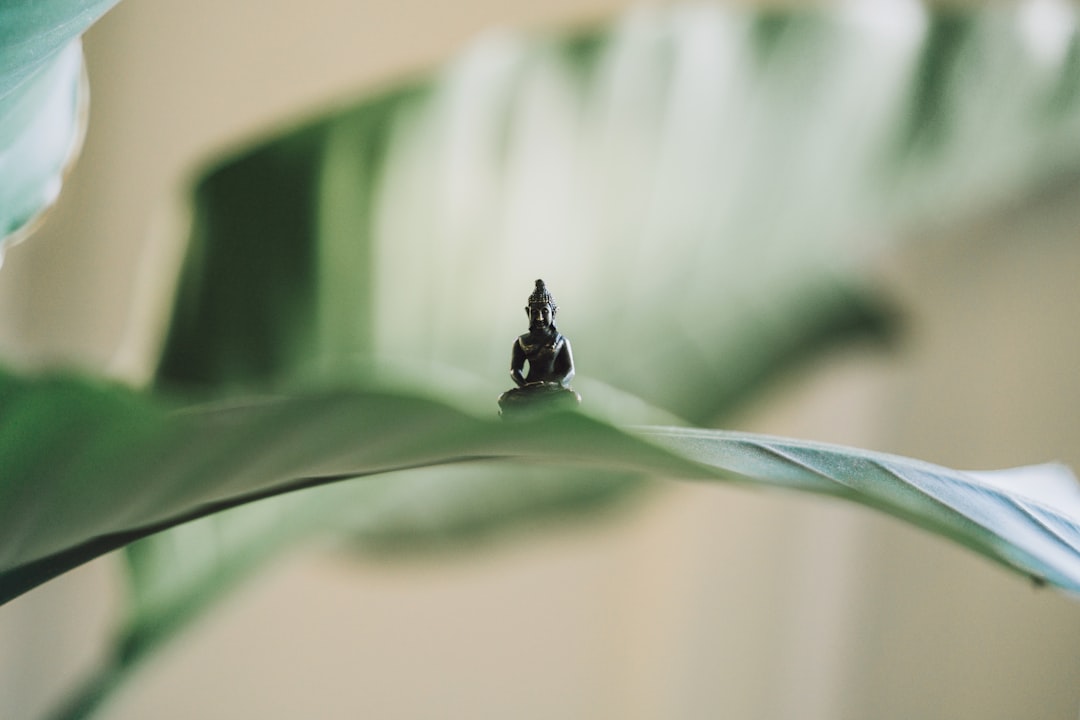 Person practicing yoga in a serene environment