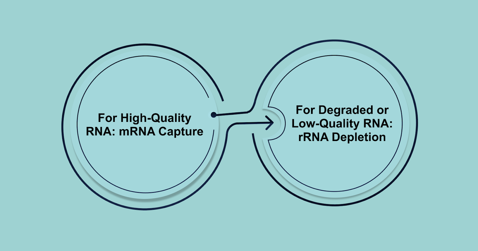 Best Practices for RNA Enrichment Strategies: