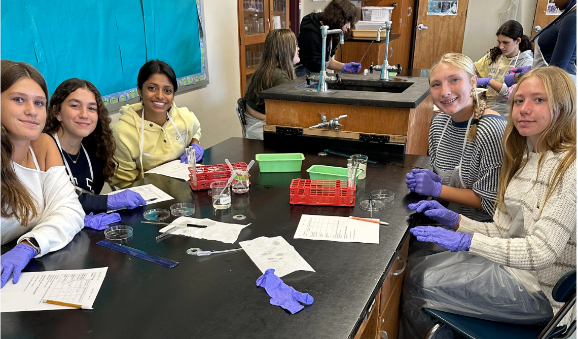 image of students in biology class