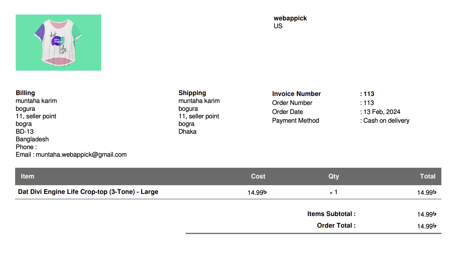 example of pdf invoice