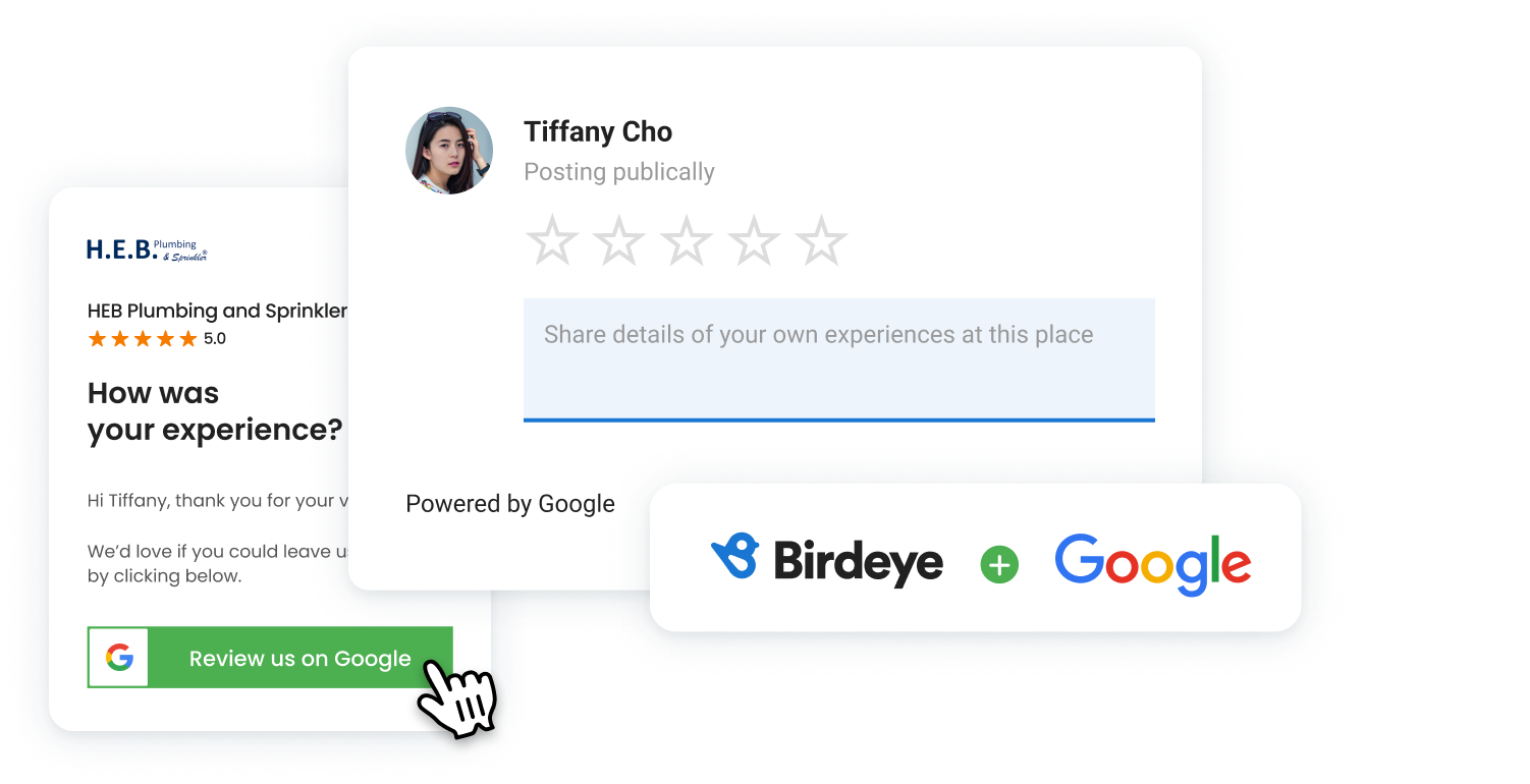Birdeye offering