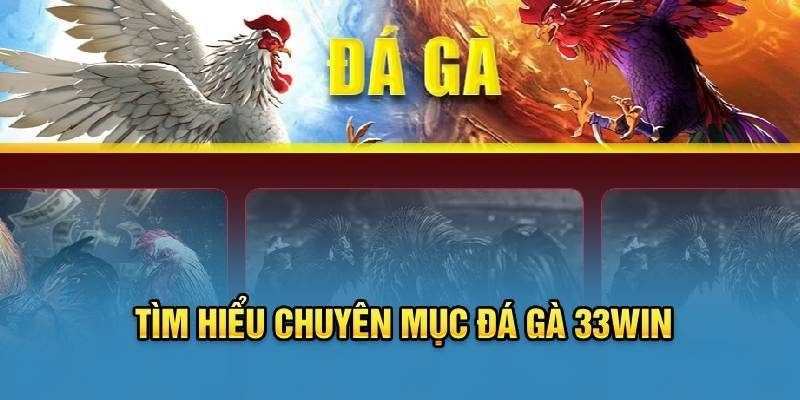 Đá gà 33Win đang rất thịnh hành