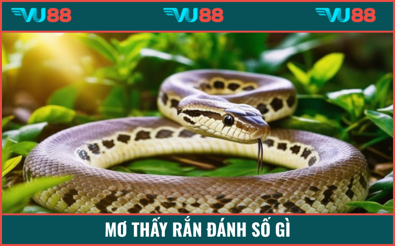 Chốt số đẹp khi mơ thấy con rắn