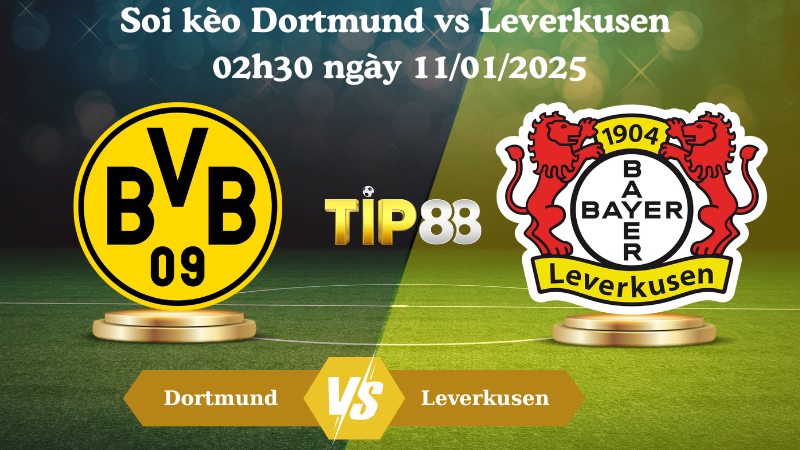 Soi kèo Dortmund vs Leverkusen 02h30 ngày 11/01/2025