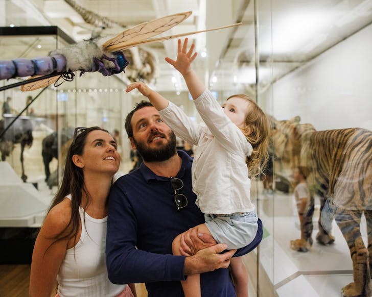 the australian museum sydney