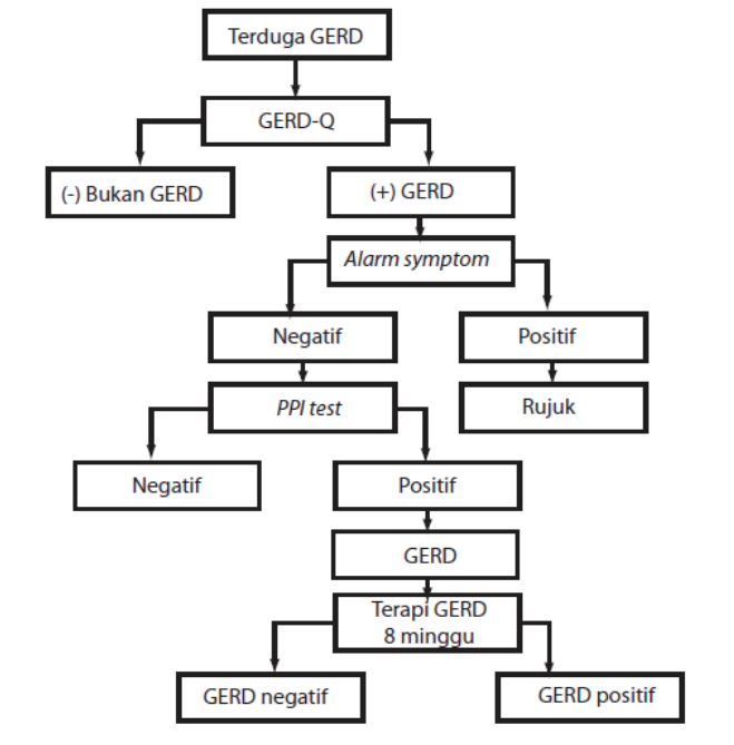 A diagram of a gerd  Description automatically generated