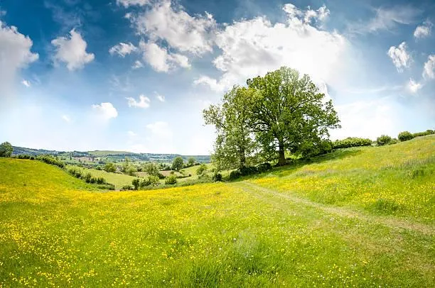 25 Morning Landscapes That Radiate Peace, morning peace, calm light, nature, landscape, sunrise nature, soft start