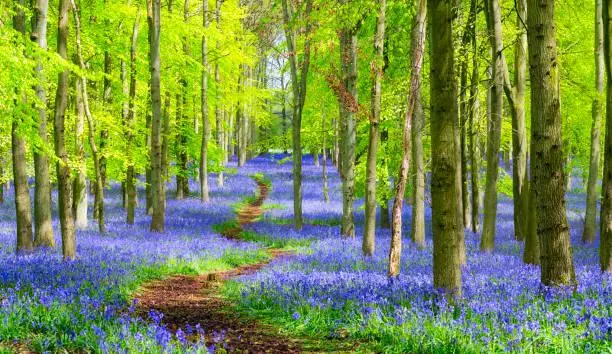 Scenes of Earth: 15 Nature Photos to Admire, earth scenes, admirable nature, nature, landscape, scenic pride, photo elegance