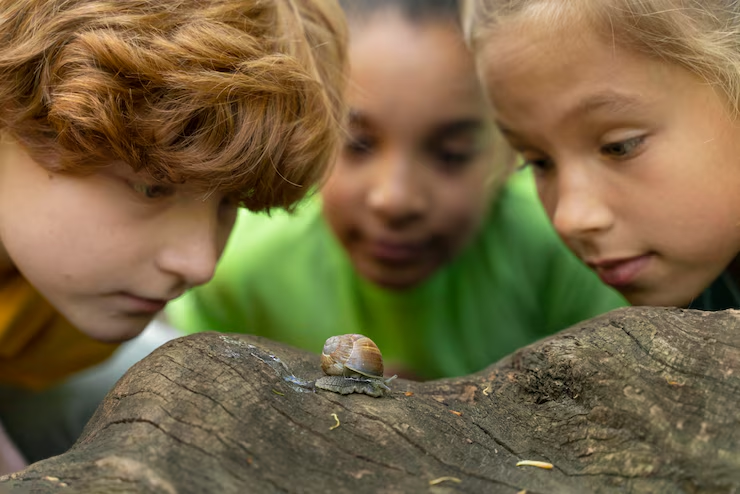 Three kids observing a baby snail to see it's current state.