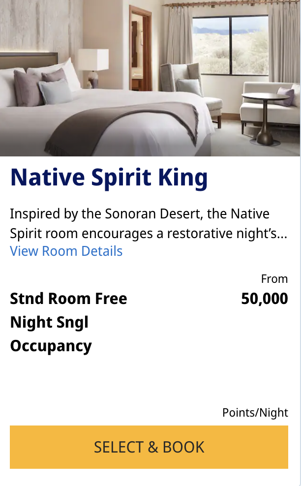 Native Spirit King room