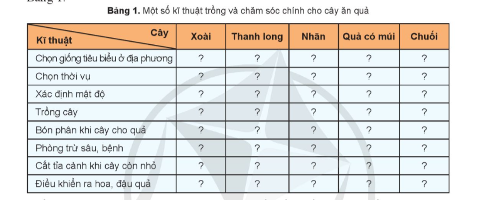 ÔN TẬP