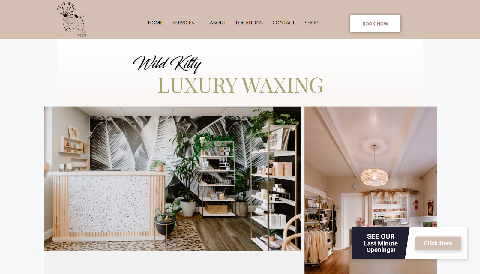 Luxurious Waxing Business Names Ideas