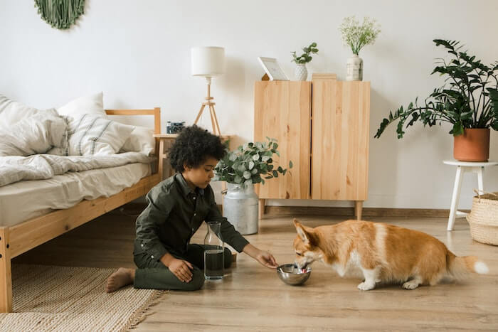 Airbnb hosts with a tiny home, rentals with a hot tub, properties with board games