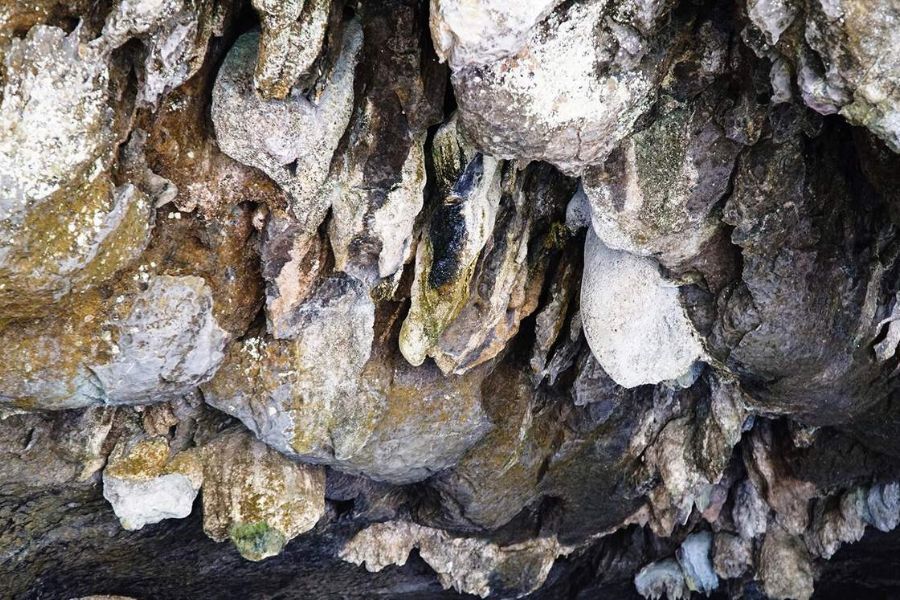 But Cave is the largest cave in the Thung Nham eco-tourism complex