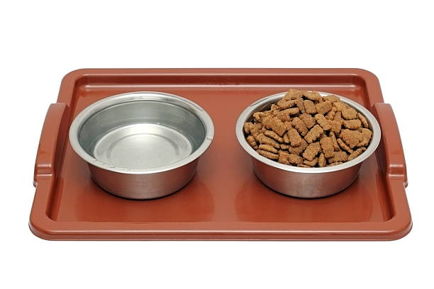 dog food container