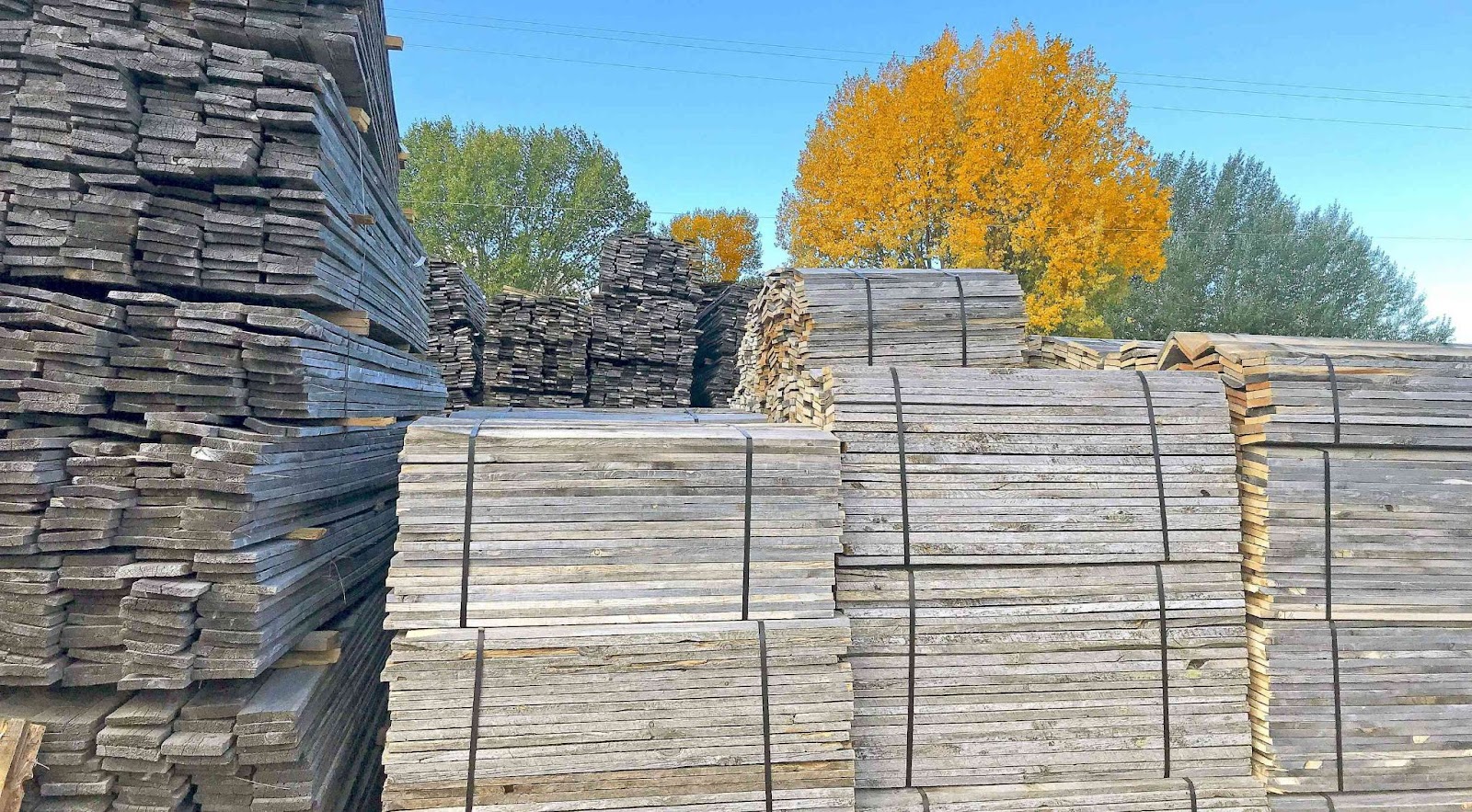 Image of Centennial lumber