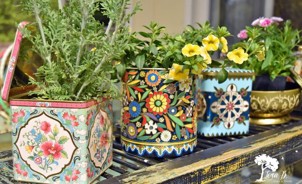 DIY and Repurposed Planter Ideas